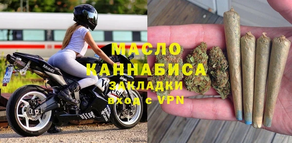 крисы Богородицк