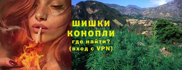 трава Богданович