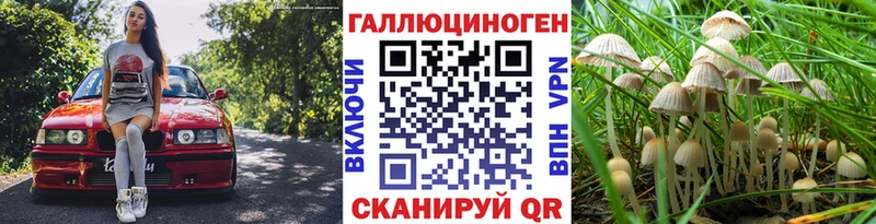 Галлюциногенные грибы Magic Shrooms  даркнет сайт  Назарово 